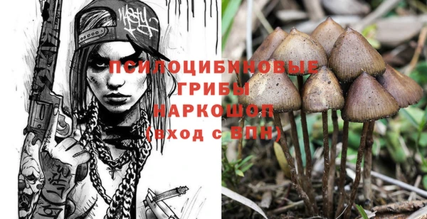 apvp Аркадак