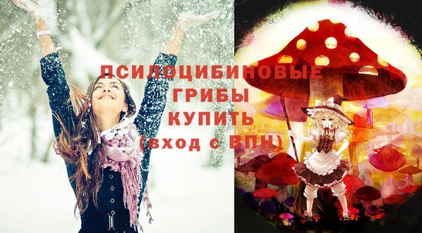 герыч Арсеньев