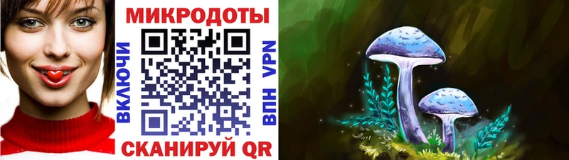 Псилоцибиновые грибы Cubensis что такое Орехово-Зуево